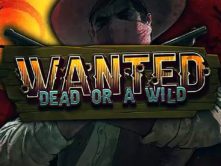Wanted Dead or A Wild